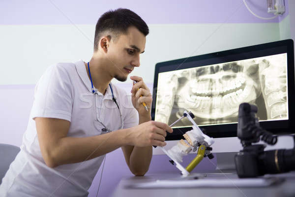 Dentist with articulator Stock photo © bezikus
