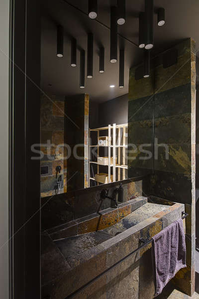 Modern style bathroom Stock photo © bezikus
