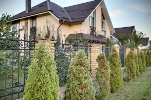 Modern vidék ház vonal zöld fák Stock fotó © bezikus