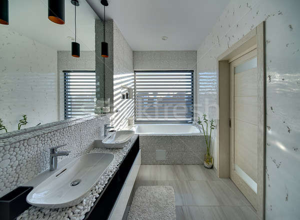 Bathroom in modern style Stock photo © bezikus