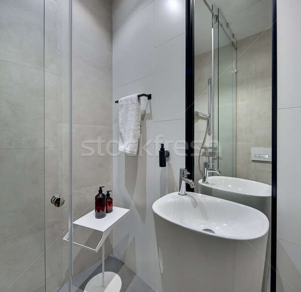Bathroom in modern style Stock photo © bezikus