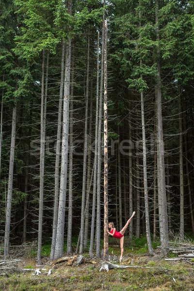 Balletdanser poseren buitenshuis jonge ballerina drogen Stockfoto © bezikus