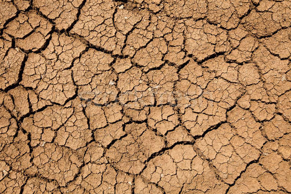 Foto stock: Terreno · textura · secas · abstrato · deserto · terra