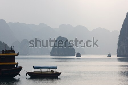 Ha Long Bay Stock photo © bezikus
