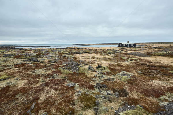 Icelandic landscape with lonely house Stock photo © bezikus