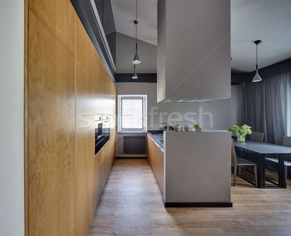 Modern style kitchen Stock photo © bezikus