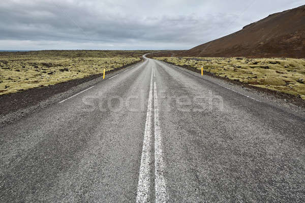 Icelandic landscape with country roadway Stock photo © bezikus