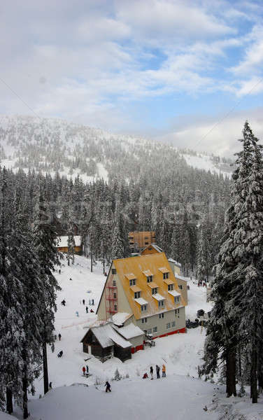 winter in mounting Stock photo © bezikus