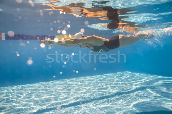 爬 風格 水下 活躍 游泳池 商業照片 © bezikus
