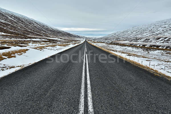 Vidék Izland kocsifelhajtó narancs útszéli barna Stock fotó © bezikus