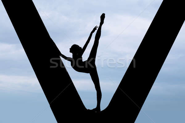 Silhouette of a graceful ballerina Stock photo © bezikus