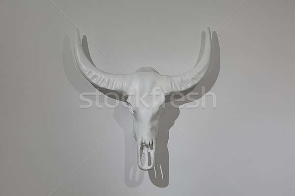 Decorative buffalo skull Stock photo © bezikus