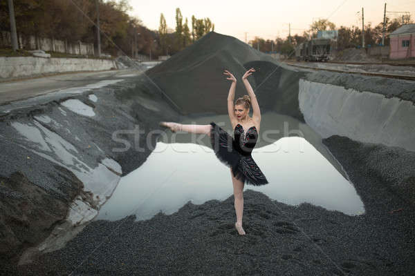 Ballerina sóder aranyos áll egy láb Stock fotó © bezikus