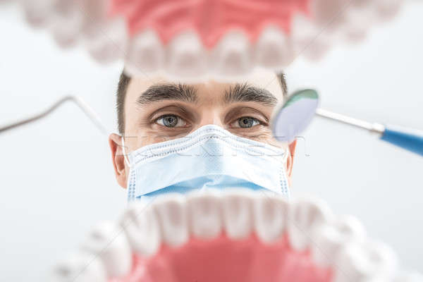 Dentist looks through jaw model Stock photo © bezikus