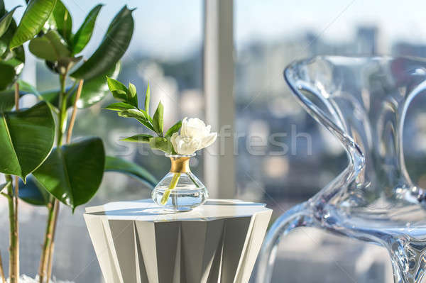 Foto stock: Suporte · flor · vidro · vaso · geométrico · branco