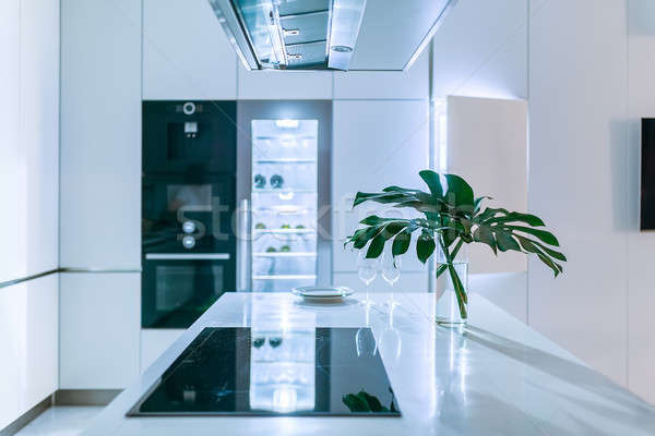 Kitchen in modern style Stock photo © bezikus