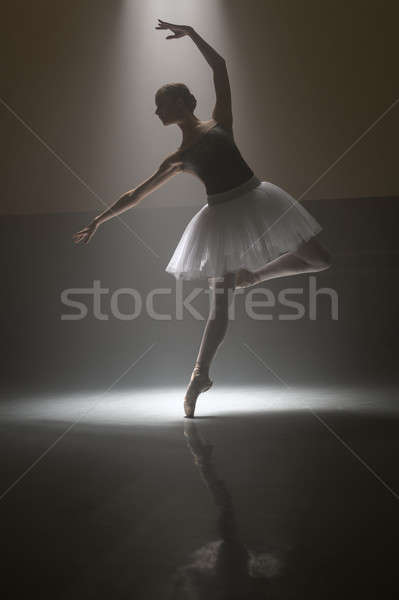 Foto stock: Bailarina · branco · feminino · bailarino · posando · escuro