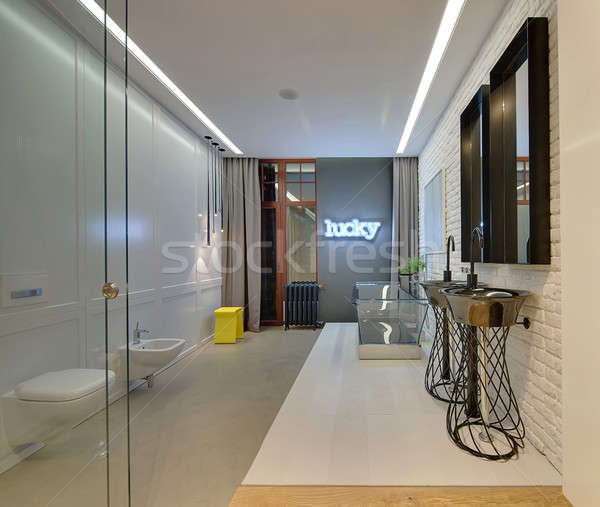 Loft style bathroom Stock photo © bezikus