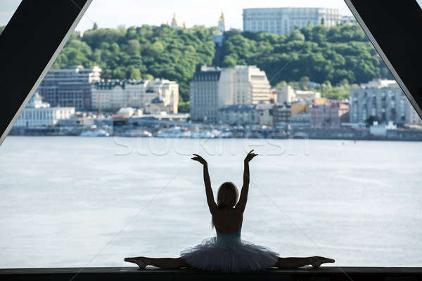 Silhouette of graceful ballerina in white tutu Stock photo © bezikus