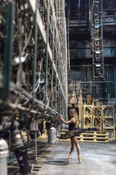 Ballerina posiert Innenraum stylish groß Bühne Stock foto © bezikus