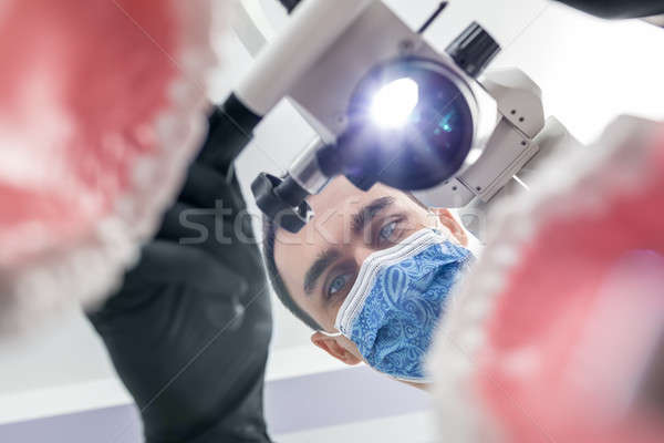 Dentist looks through jaw models Stock photo © bezikus