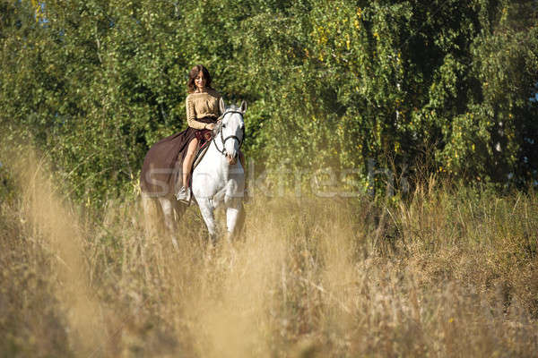 Gyönyörű lány lovaglás fehér ló mező profil kamerába Stock fotó © bezikus