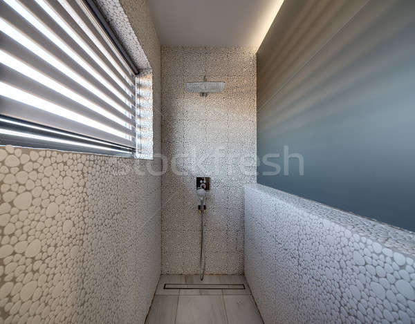 Stylish bathroom in modern style Stock photo © bezikus