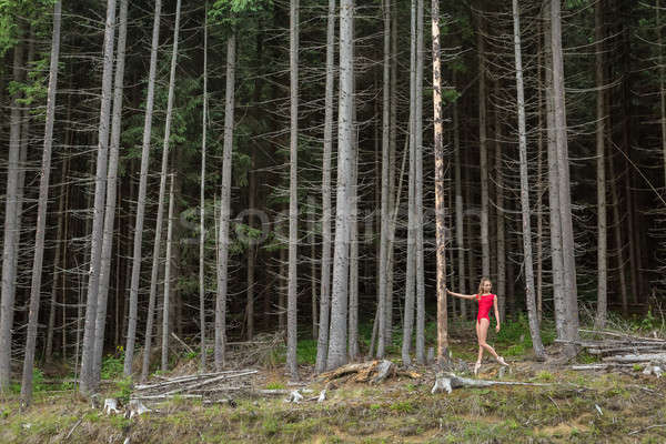 Balletdanser poseren buitenshuis verrukkelijk ballerina drogen Stockfoto © bezikus