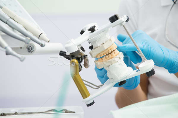 Articulator with teeth mould Stock photo © bezikus