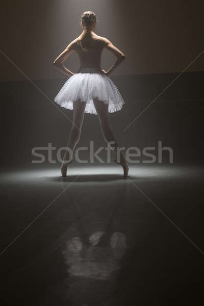 Ballett-Tänzerin hinter ziemlich stehen Zehen Ballettschuhe Stock foto © bezikus
