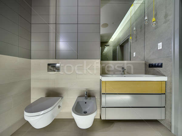 Bathroom in modern style Stock photo © bezikus