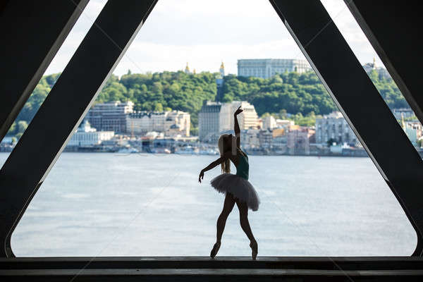 Silhouette of graceful ballerina in white tutu Stock photo © bezikus