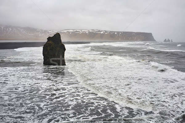 Icelandic landscape of seashore Stock photo © bezikus