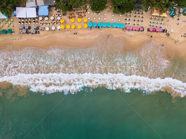熱帶 景觀 海灘 海 尼斯 斯里蘭卡 商業照片 © bezikus