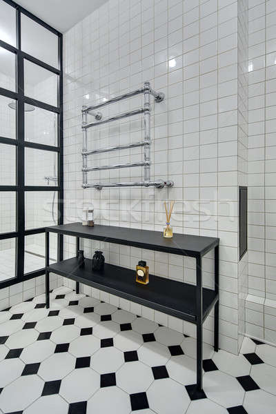 Modern style bathroom Stock photo © bezikus
