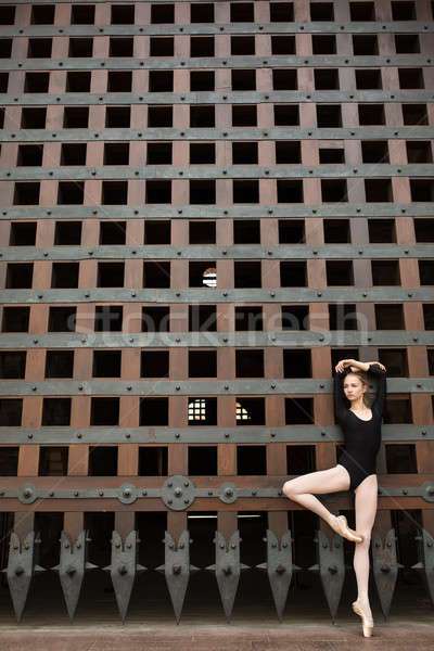 Sottile ballerino uno gamba vecchio cancello Foto d'archivio © bezikus