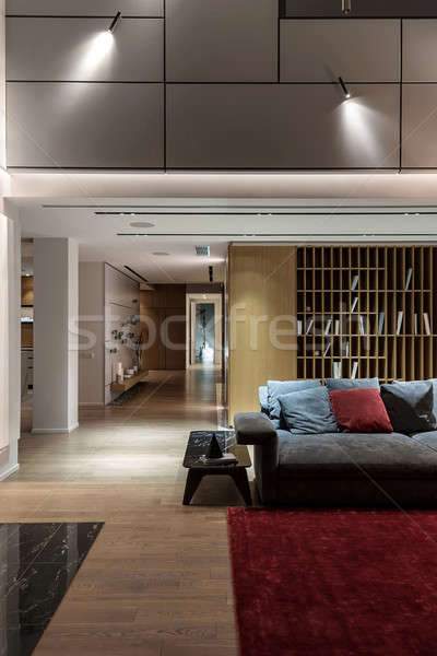 [[stock_photo]]: Intérieur · style · moderne · modernes · salle · lumière