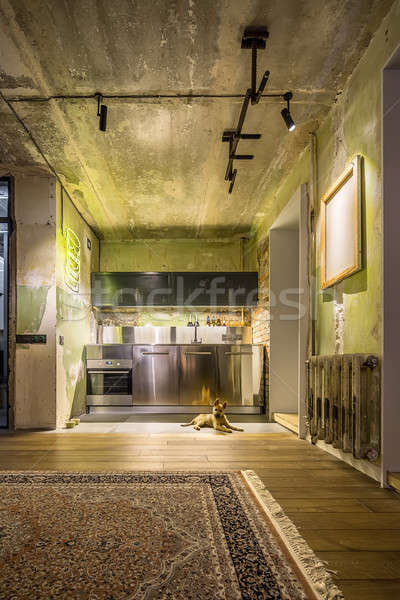 Stock photo: Kitchen in loft style