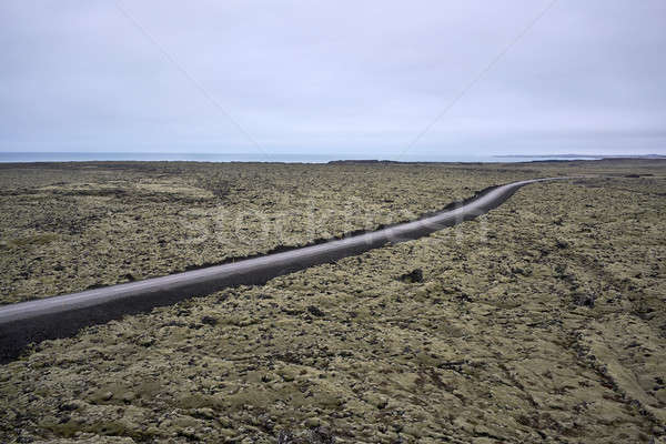 Icelandic landscape with country roadway Stock photo © bezikus