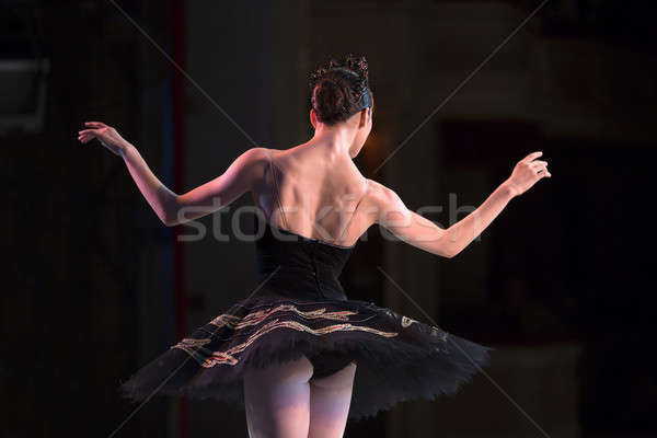 Ballerina dancing prova fase prestazioni Swan Foto d'archivio © bezikus