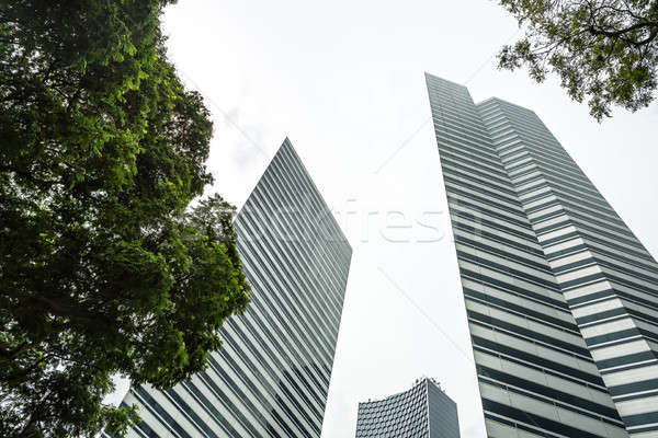 Stock photo: Tops of skyscrapers and trees