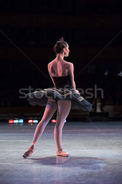 Ballerina dancing prova fase prestazioni Swan Foto d'archivio © bezikus