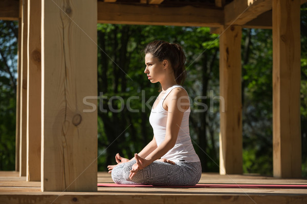 Filles yoga formation jeune fille Lotus posent Photo stock © bezikus