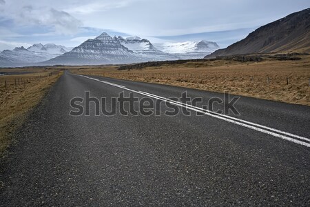 Country roadway in Iceland Stock photo © bezikus