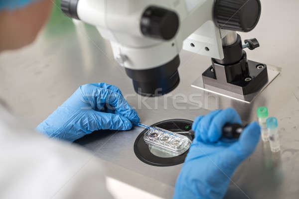 Entraîner médecin bleu gants contrôle vérifier [[stock_photo]] © bezikus