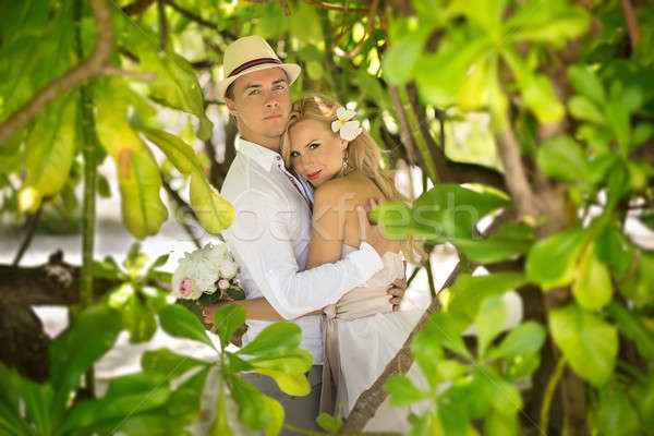 新婚夫婦 島 擁抱 植物 熱帶 花園 商業照片 © bezikus