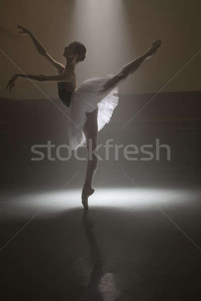 Ballerina in the white tutu Stock photo © bezikus
