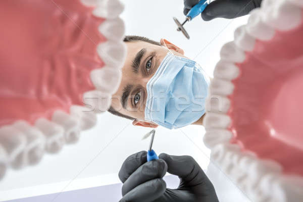 Dentist looks through jaw models Stock photo © bezikus