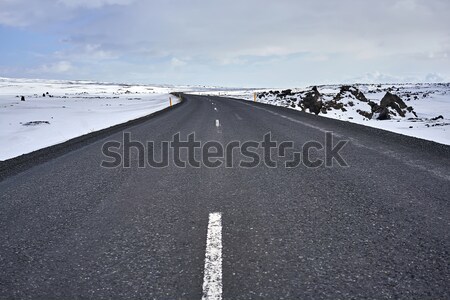 Country roadway in Iceland Stock photo © bezikus