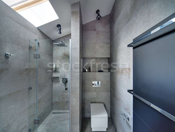 Modern style bathroom Stock photo © bezikus